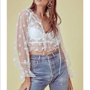 IN SEARCH OF CLAUDIA TOP